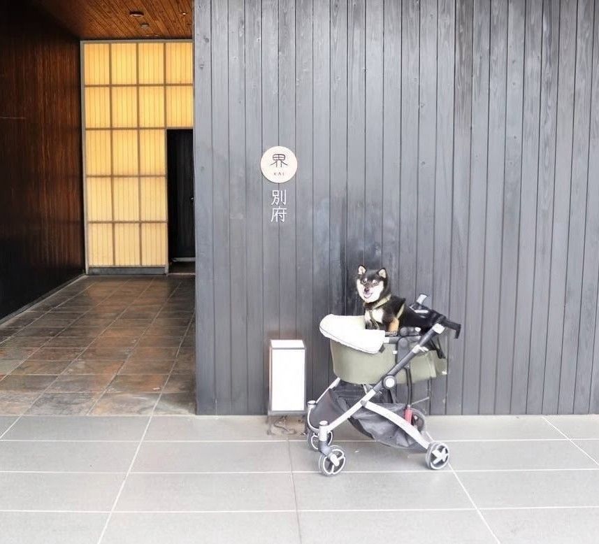 写真 1