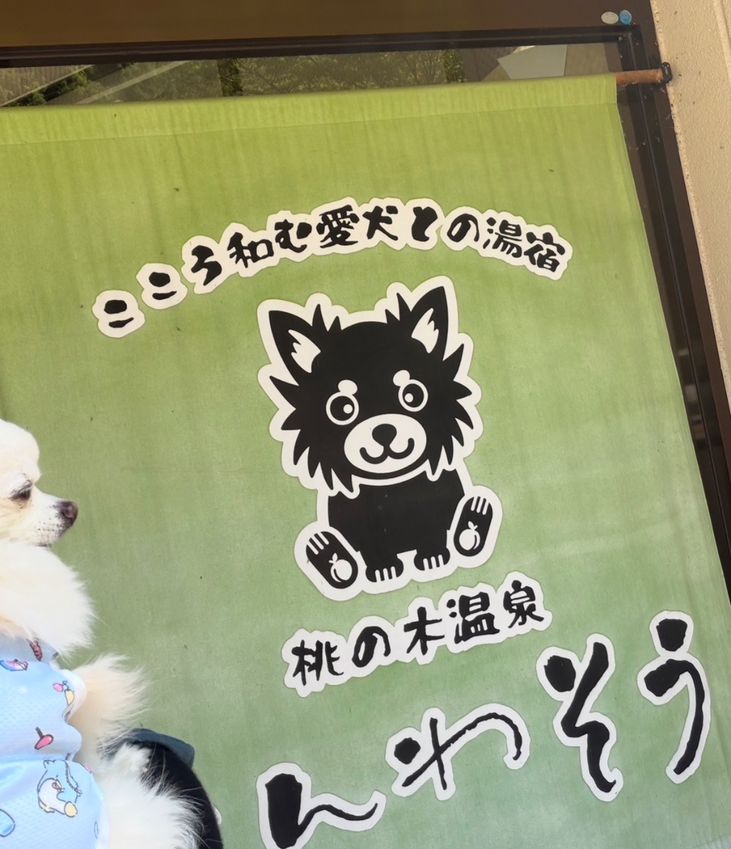 写真 2