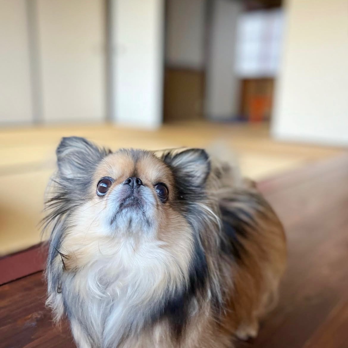 写真 3