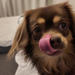 Chloeのプロフィール画像