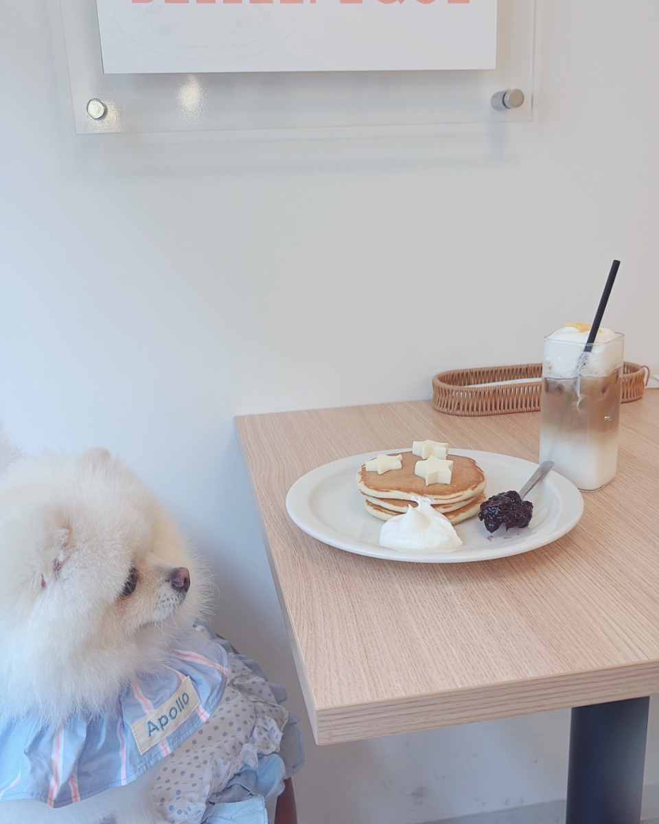 写真 4