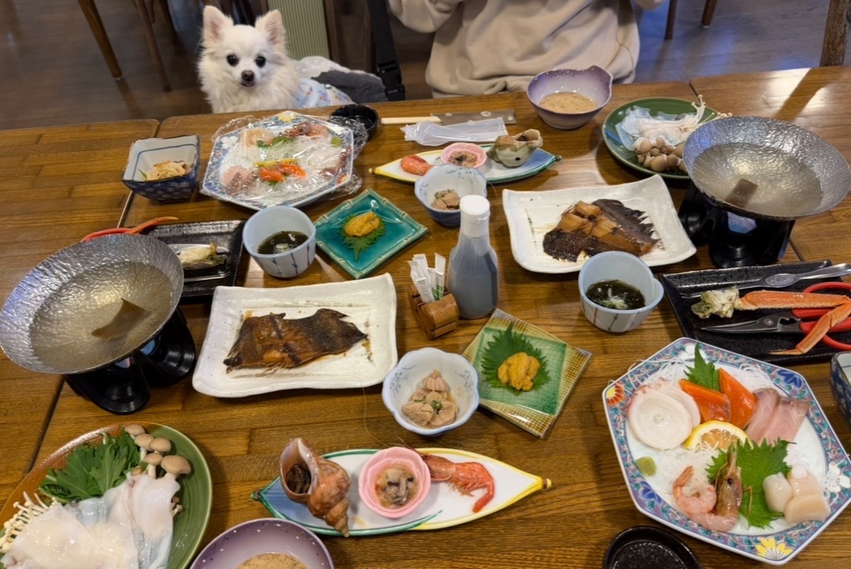 写真 1