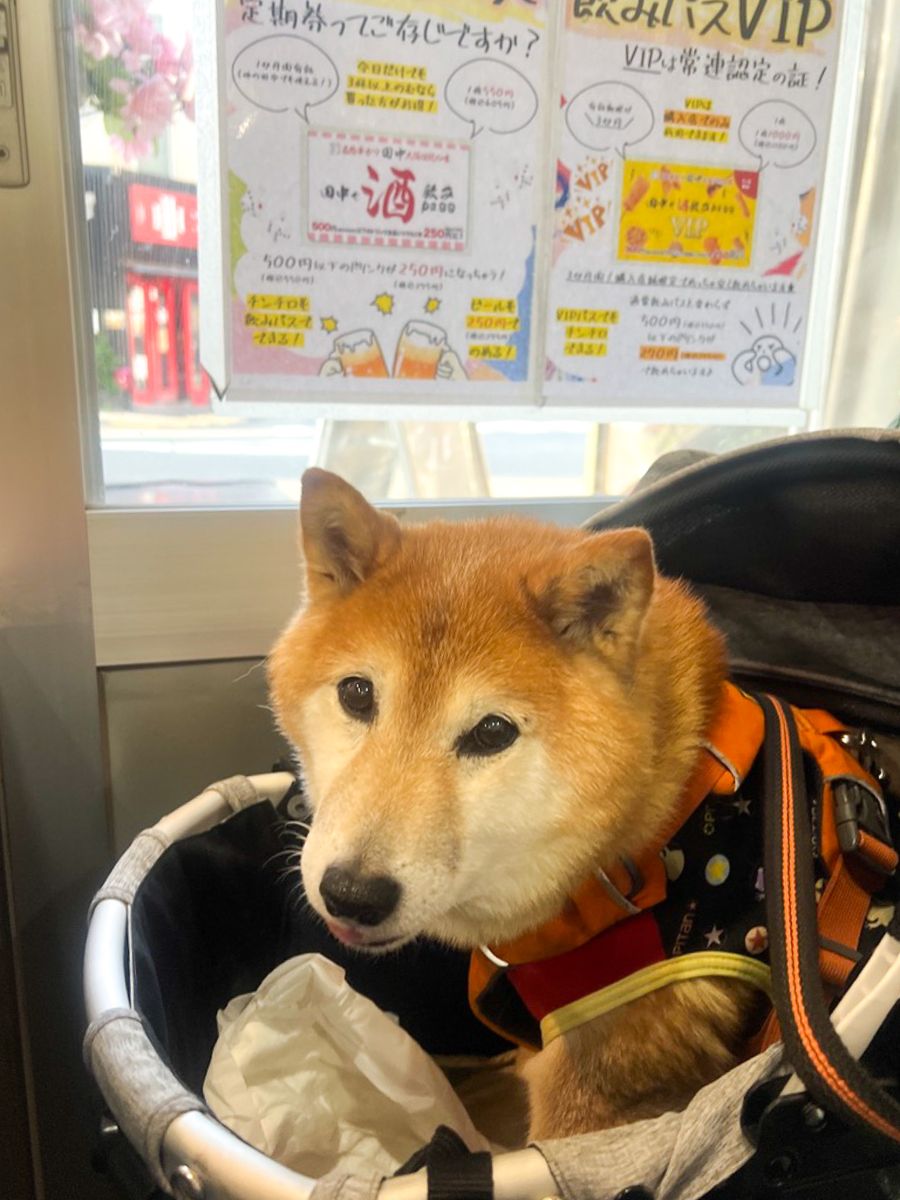 写真 4