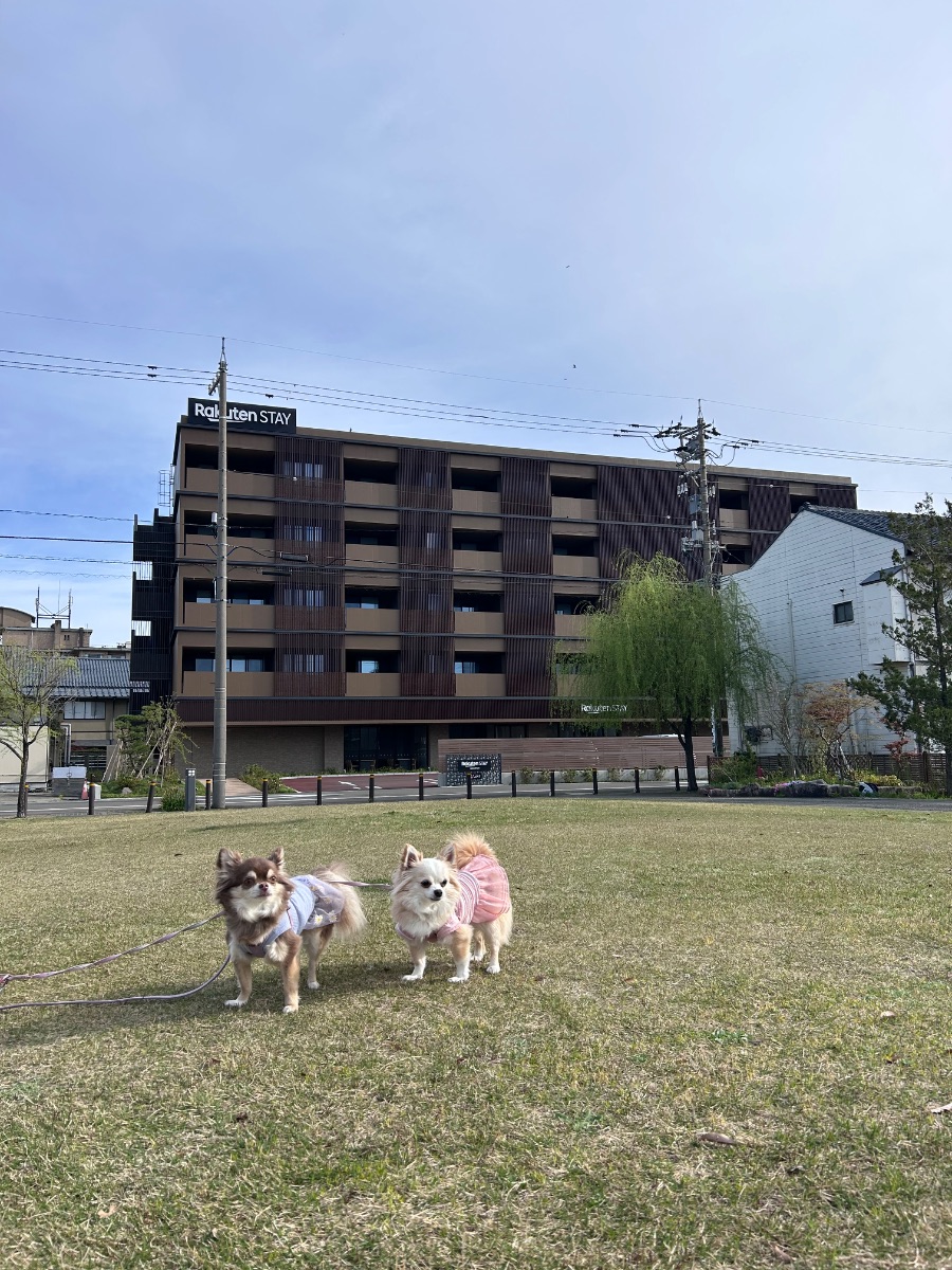 写真 1