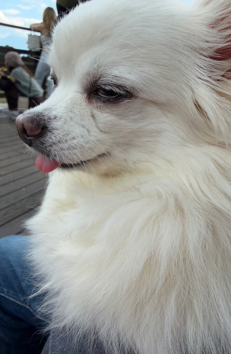写真 5