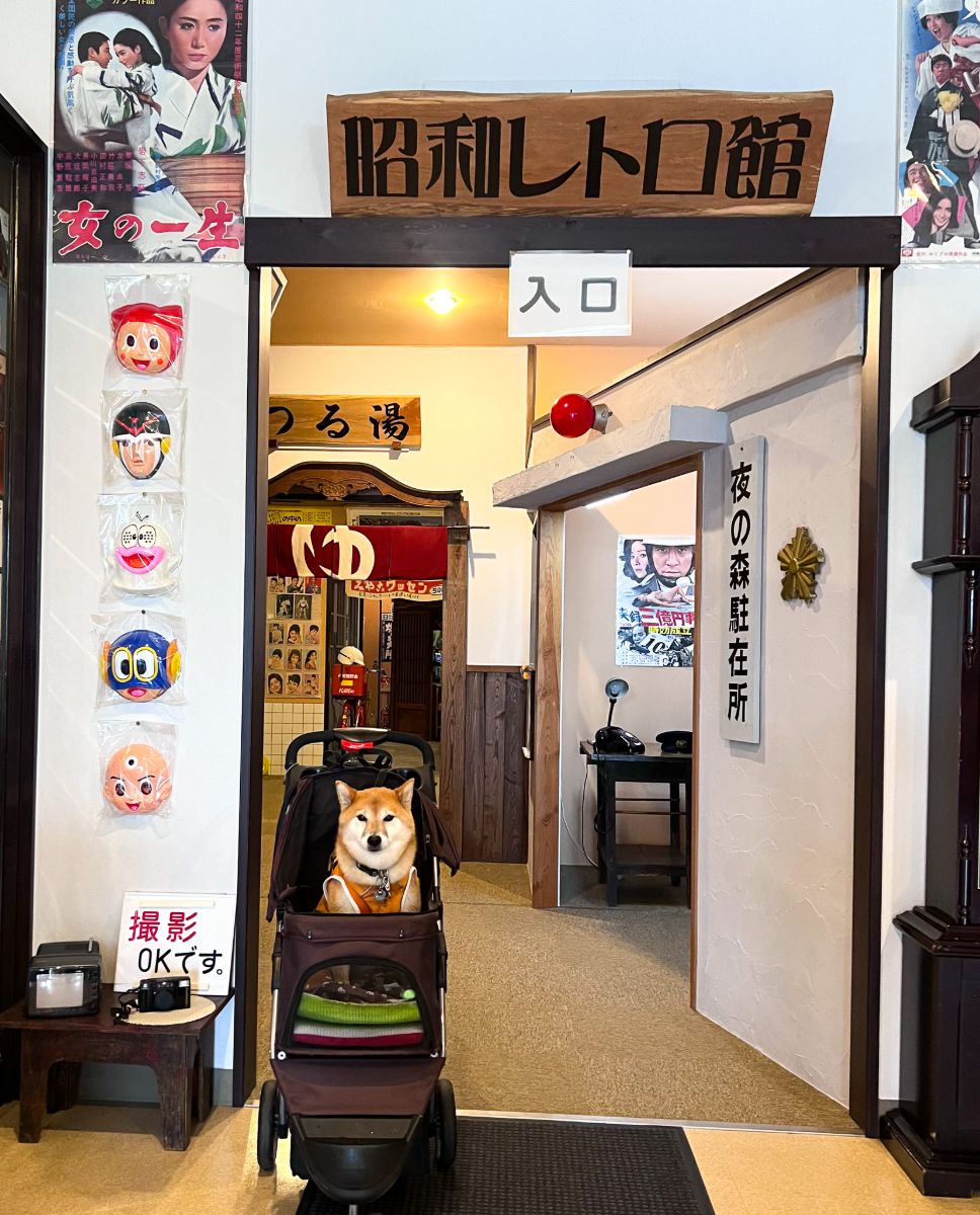 写真 4